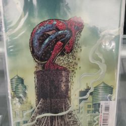 Spider Man Comic