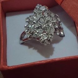 Woman's Ring $15