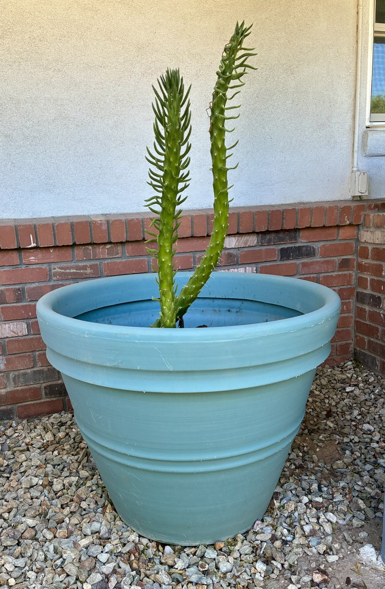 EXTRA LARGE PLANTING POT