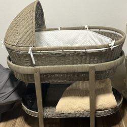 Newborn Bassinet 