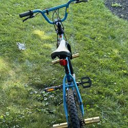 Tom’s Hawk Bicycle