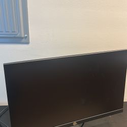 HP Monitor 