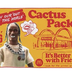 Travis Scott x McDonalds Cactus Vintage Blanket