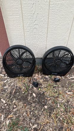 Fans