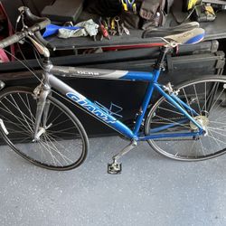 Giant Compact Road Bike