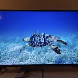 43” LG 4K TV with Wall Mount 