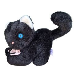 Cat Plush