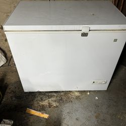 Floor Freezer 