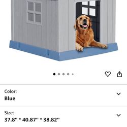 Dog House 