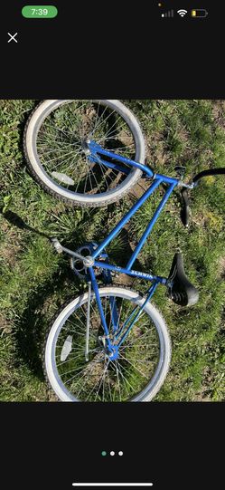 Schwinn Cruiser Bike 