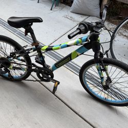 Guardian Bike