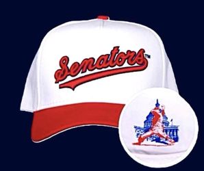 Texas Rangers Senators True Brand Hat
