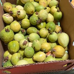 $ Se Benden Guayabas En Porterville