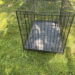 Dog kennel 