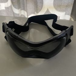 Dog Sunglasses 🕶️ with UV protection 