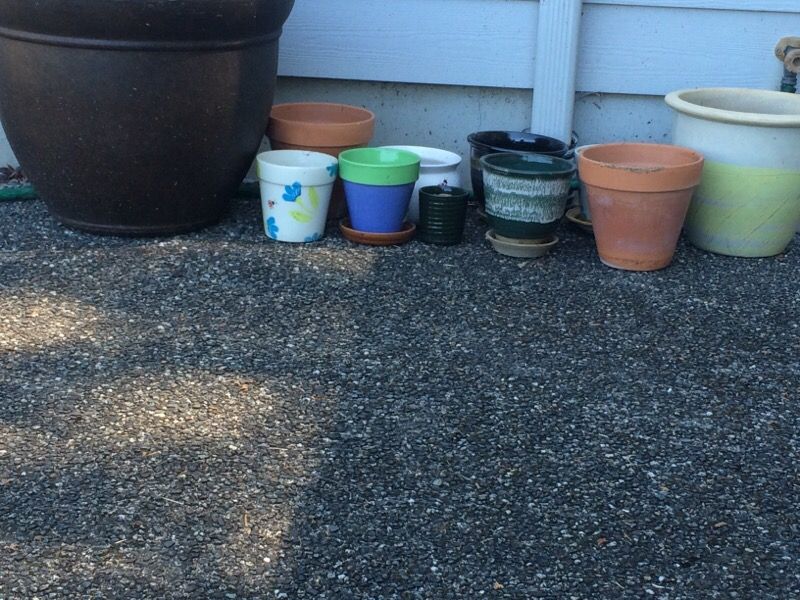 Flower Pots