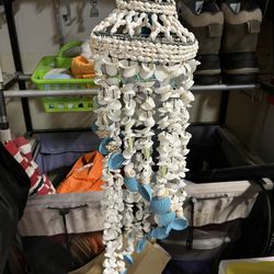 Sea Shell Decorations 