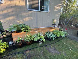 Planter boxes brand new