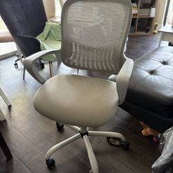 Ergonomic Gray Mesh Office Chair