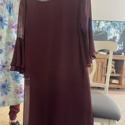SLNY woman’s Dress 