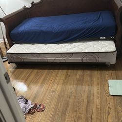 Good Quality From Pet Free Home 