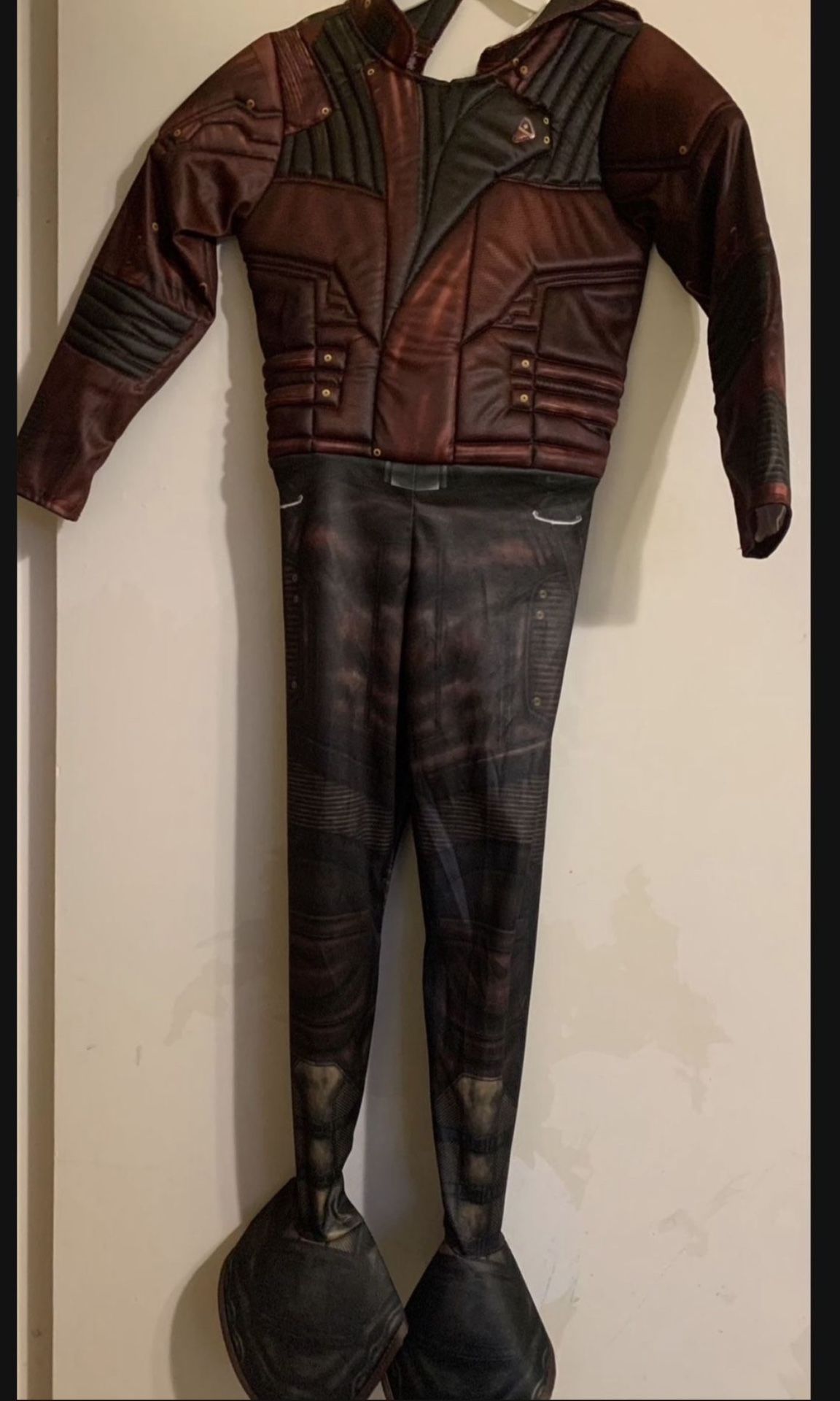 Wasp ant Man Costume New With Mask $15