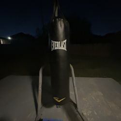 Kick Boxing Punching Bag 