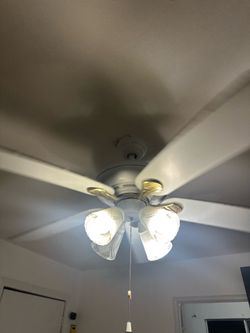 Ceiling Fan