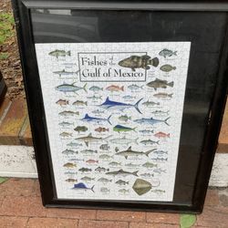 Fish Picture 