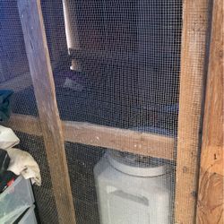 Bird Cage 