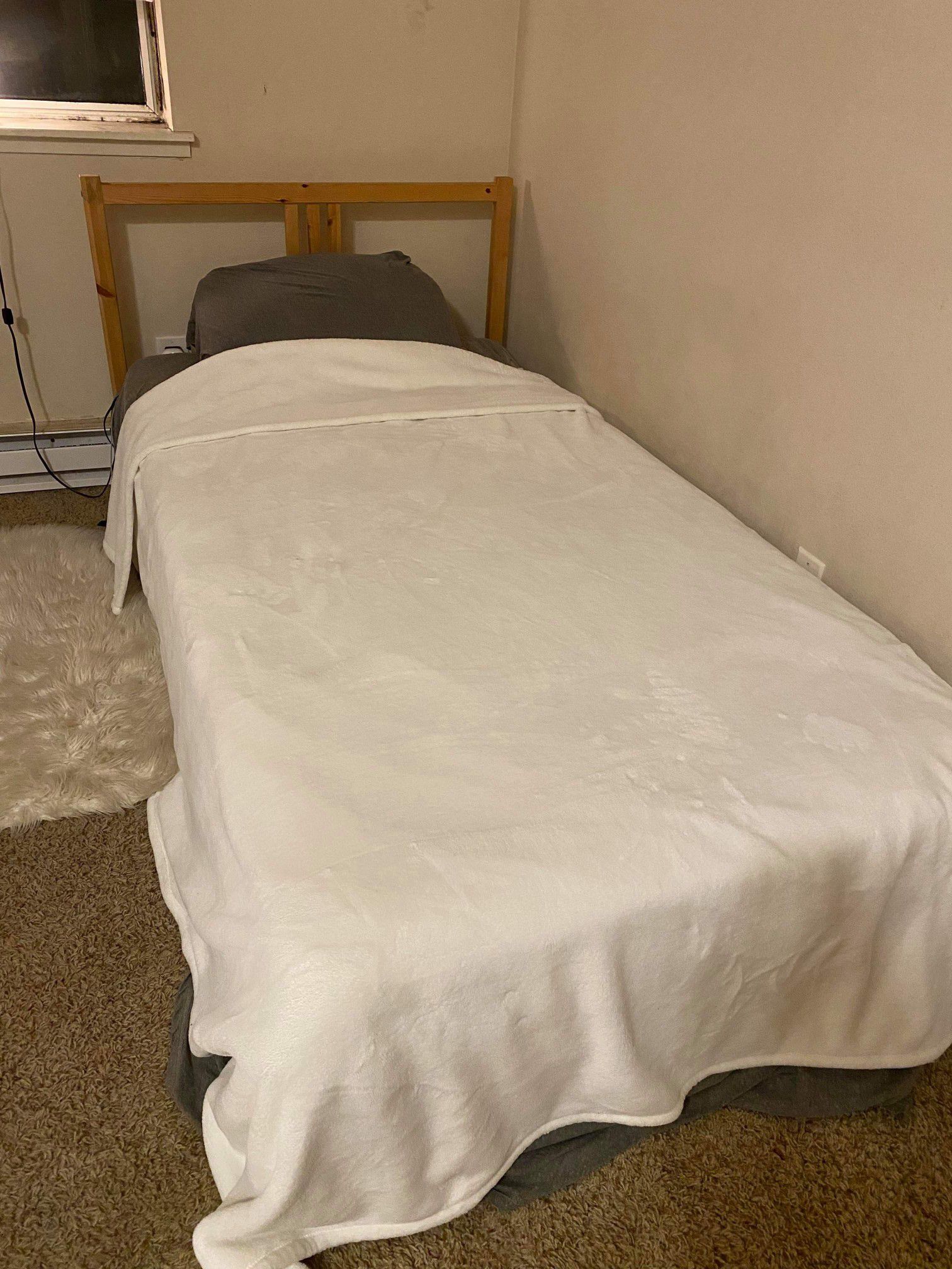 Twin bed without mattress 50$