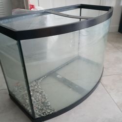 fish tank