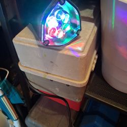 Multi Colored Lights 