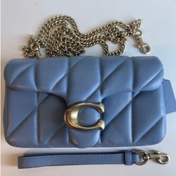 Blue Tabby Wristlet 