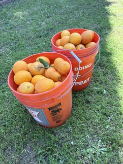 ORANGE FILLED BUCKET 