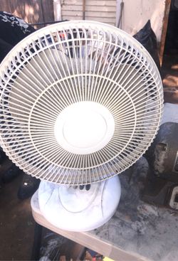 Fan