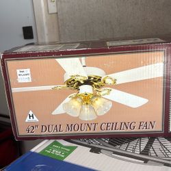 42” Dual Mount Ceiling Fan