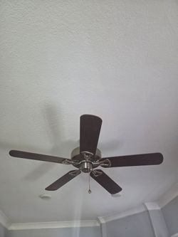 Ceiling fan