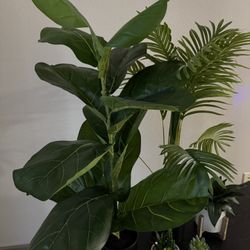 Realistic Fake Plant (for Sale) Uptown 