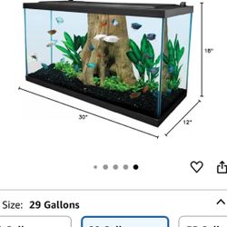 Fish Tank 