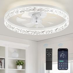 LEDIARY 20" Ceiling Fan with Light