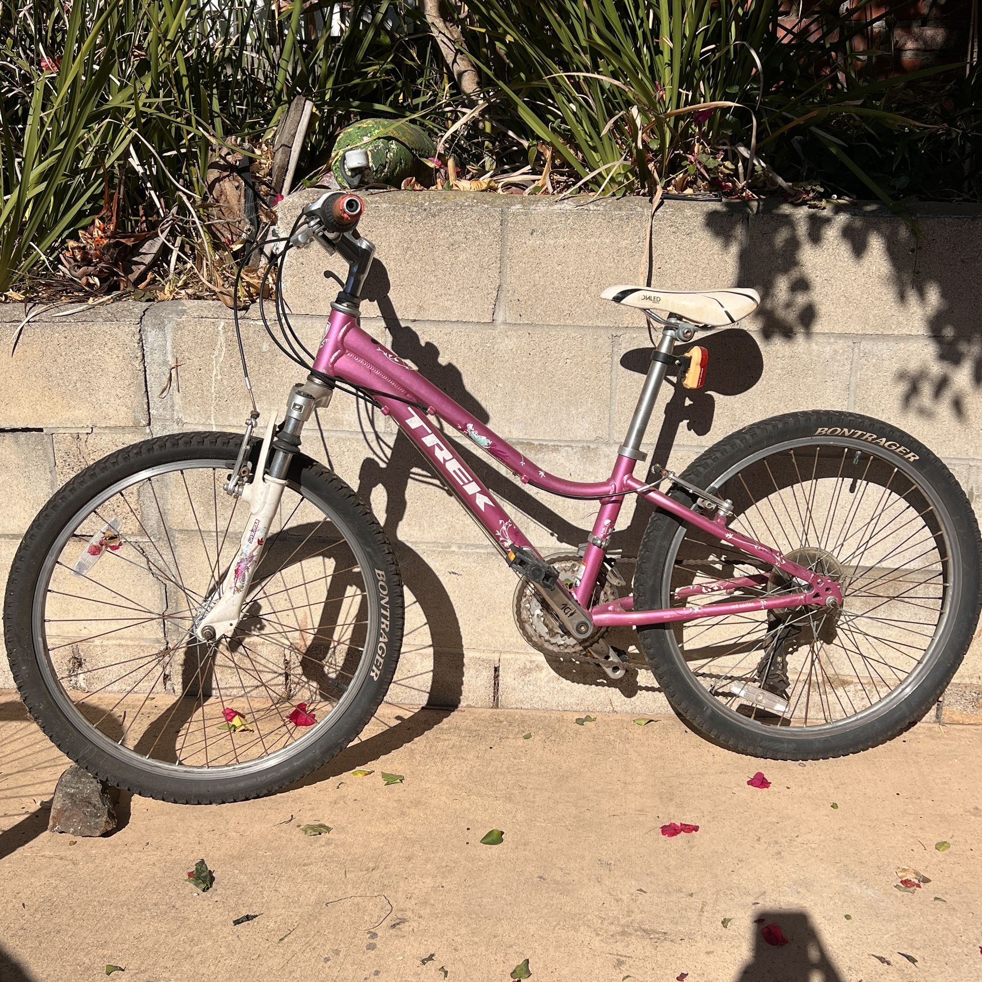 Trek Kids Mountain Bike MT 220