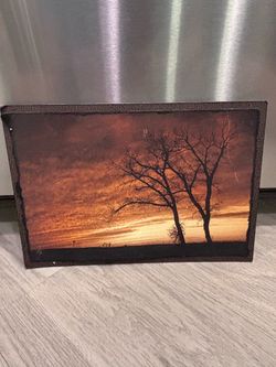Sunset Tree Landscape Photo Print on Board