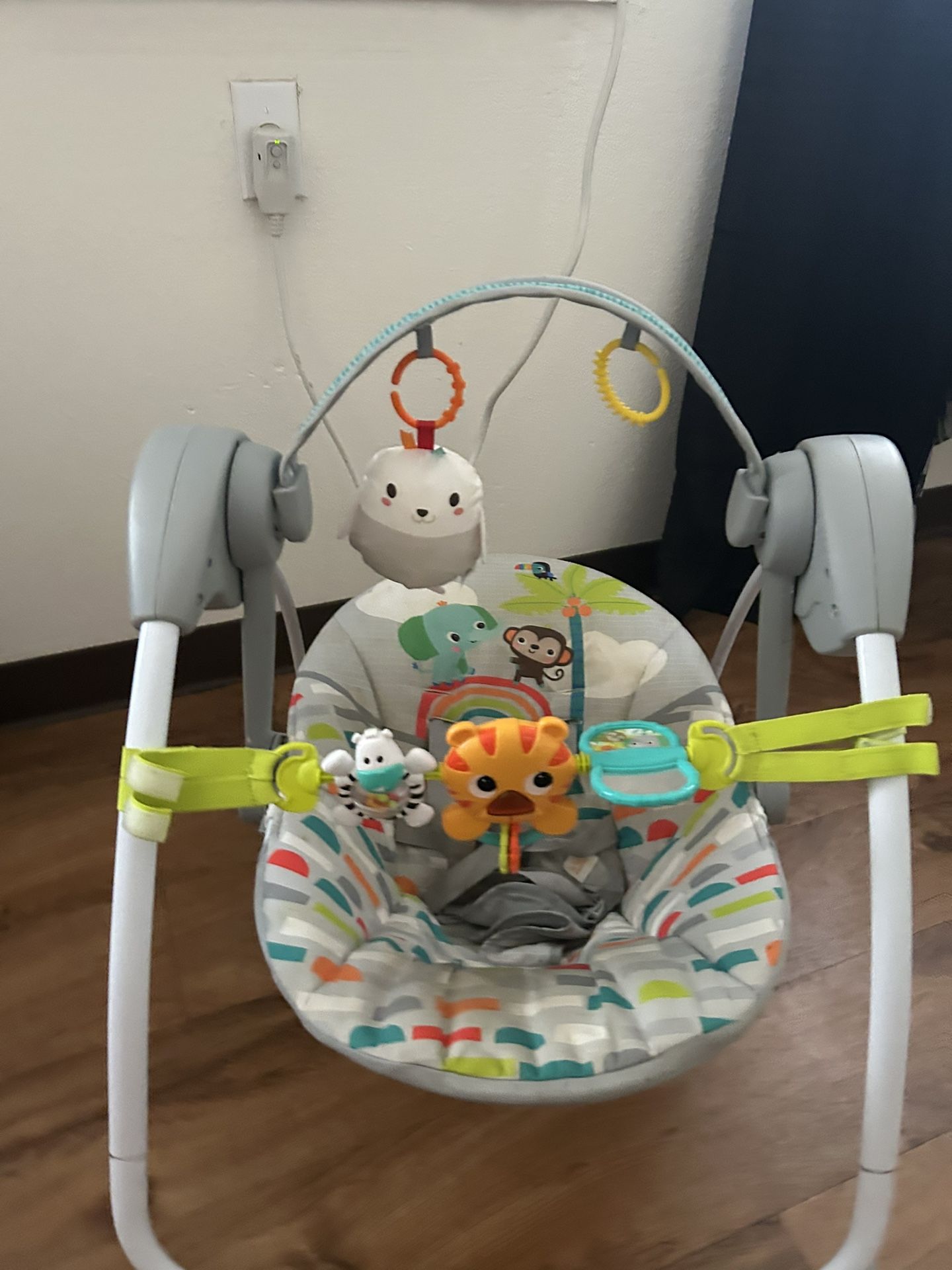Baby Swing