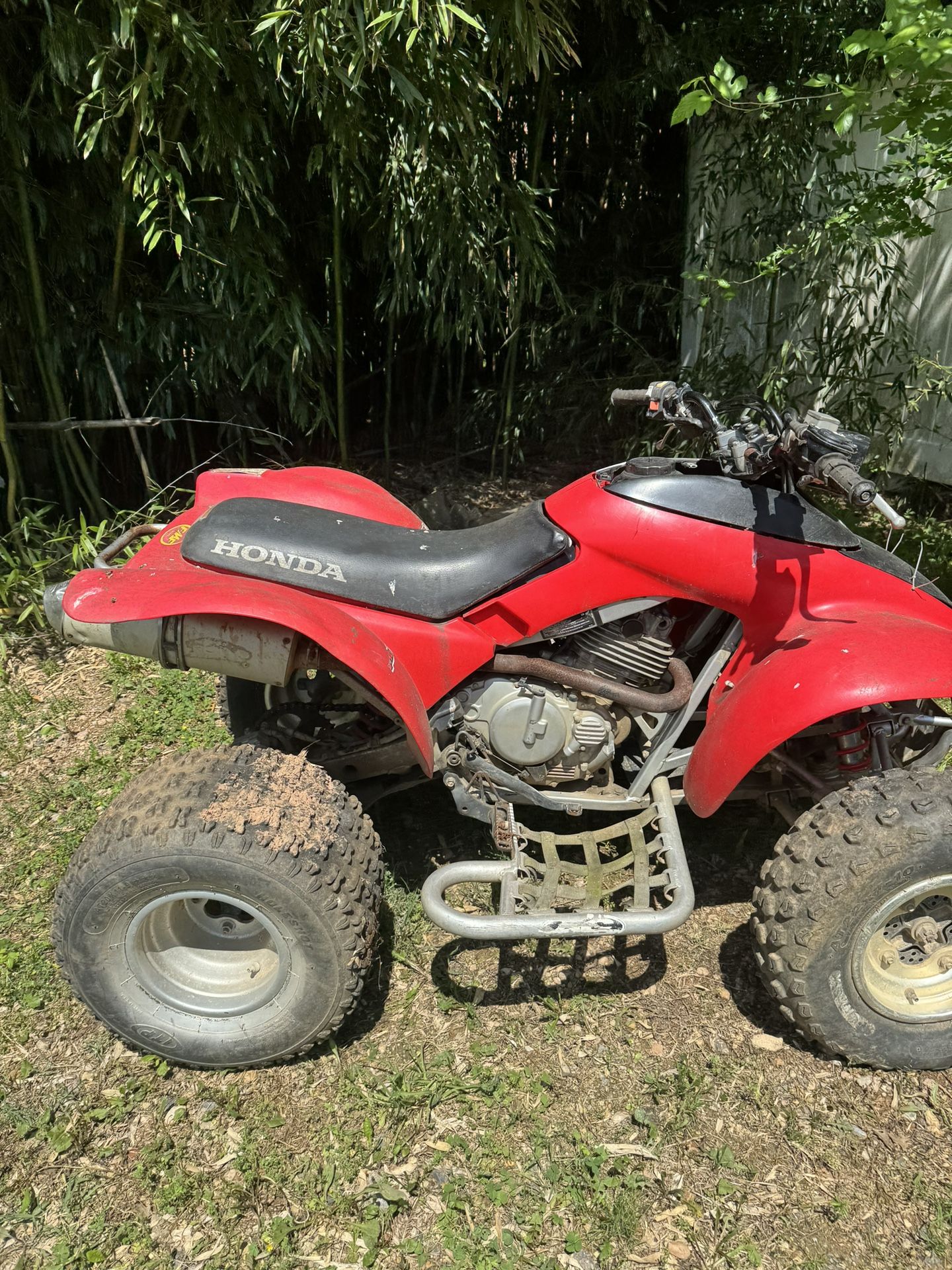 2006 Honda 300ex