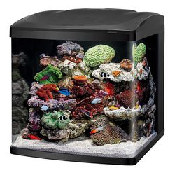 Coralife 32 Gallon Biocube Aquarium