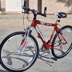 Schwinn Mountain Bike Size 26