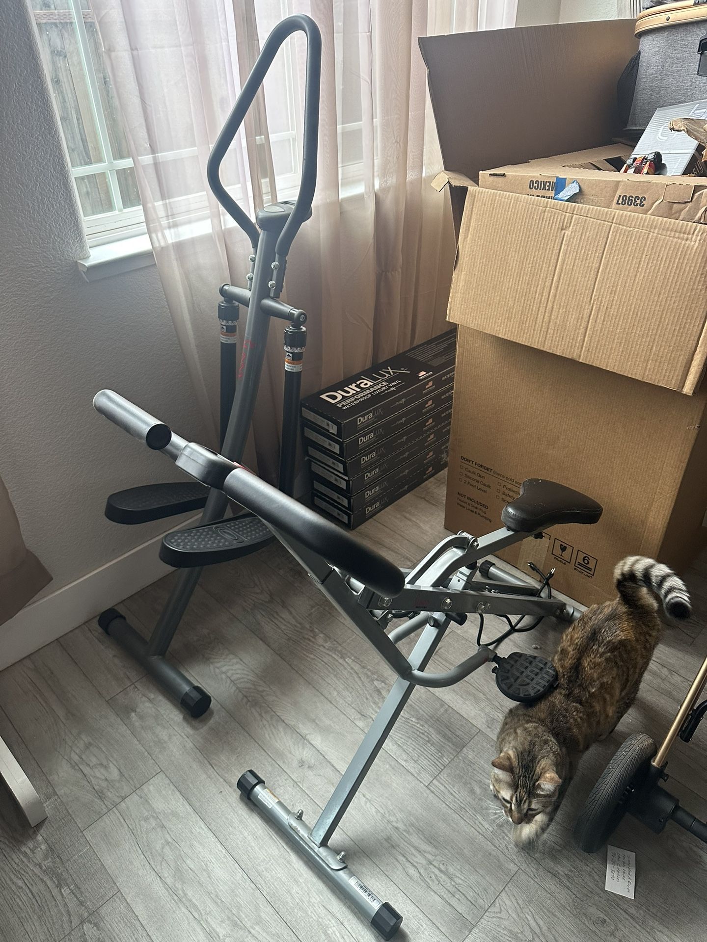 Sunny Step Machine And Row N Ride