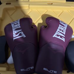 Everlast Gloves