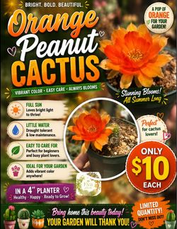 Orange peanut cactus